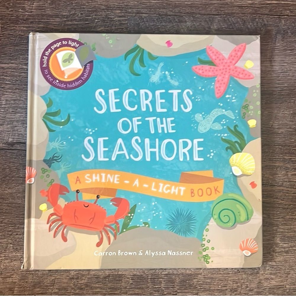 Usborne Secrets of the Seashore Shine-A-Light Kids Ocean Hardcover Book